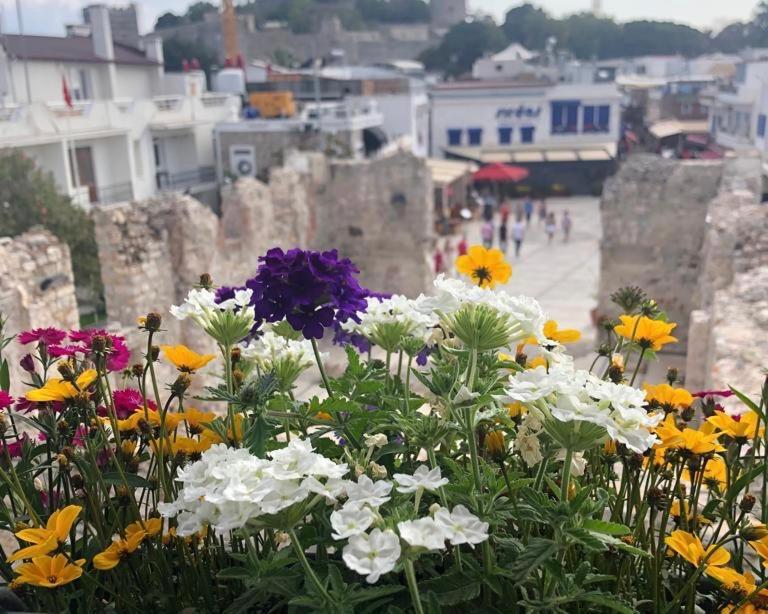 Houses Of Socrates - Manzara Apartment Bodrum Екстериор снимка